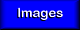 Images of Blue Crab Key
