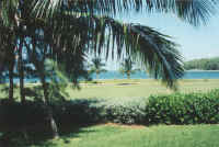 exterior-3.jpg (52880 bytes)