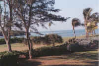 exterior-5.jpg (48287 bytes)