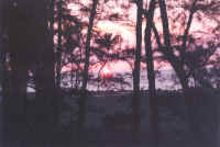 exterior-7.jpg (37120 bytes)