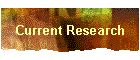 Current Research