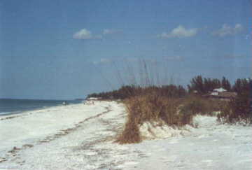 Waterfront Real Estate in Charlotte County