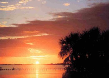 Punta Gorda Waterfront real estate Charlotte County Florida