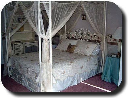 Palm Room